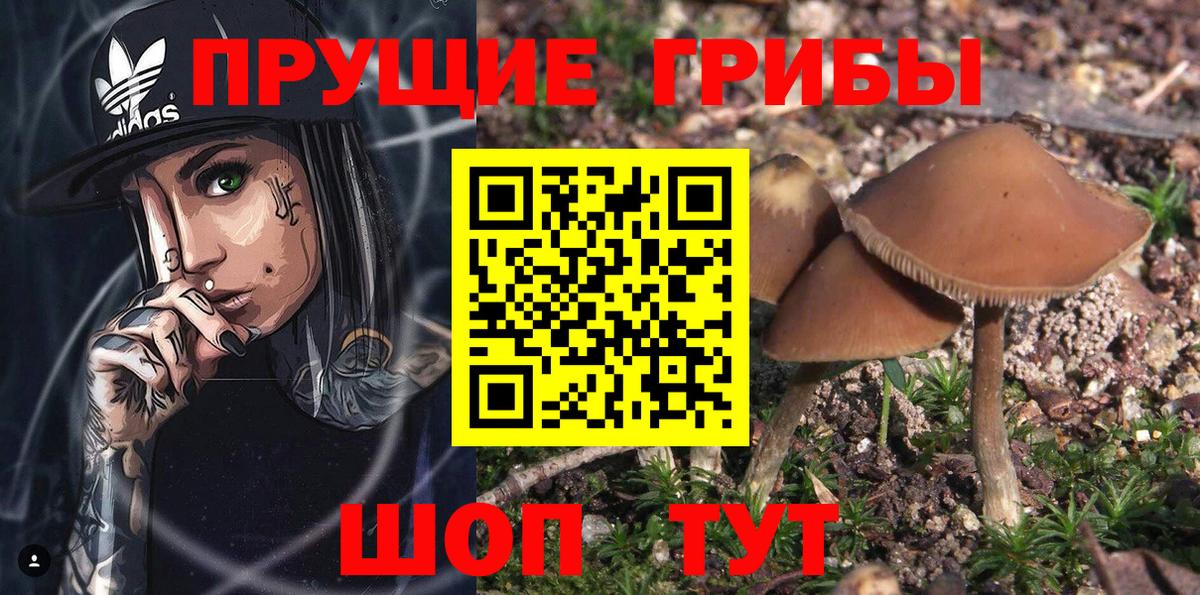 Галлюциногенные грибы Cubensis  Вход с VPN  Мелеуз 